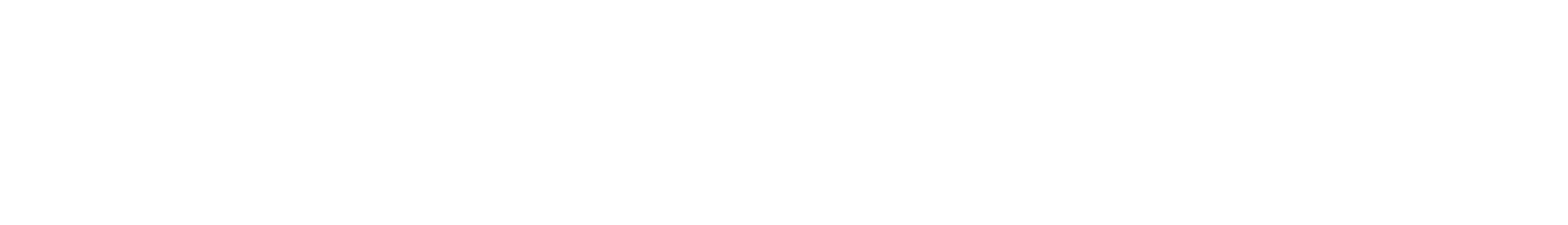Garmin Logo